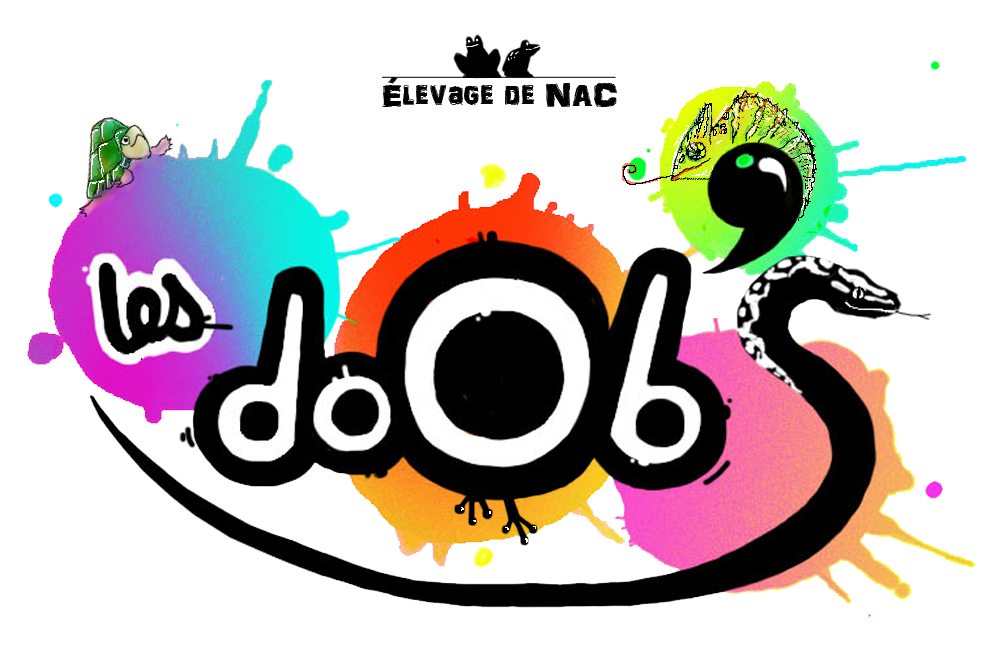 Les DoOb's
